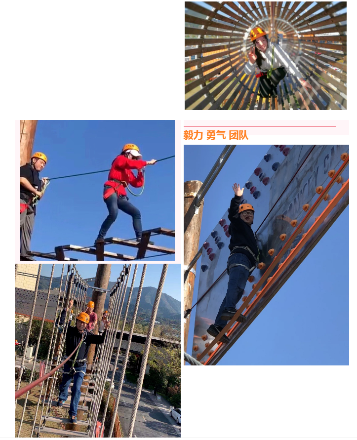 上海宜勢電子科技有限公司|連接器|繼電器|傳感器|汽車行業(yè)